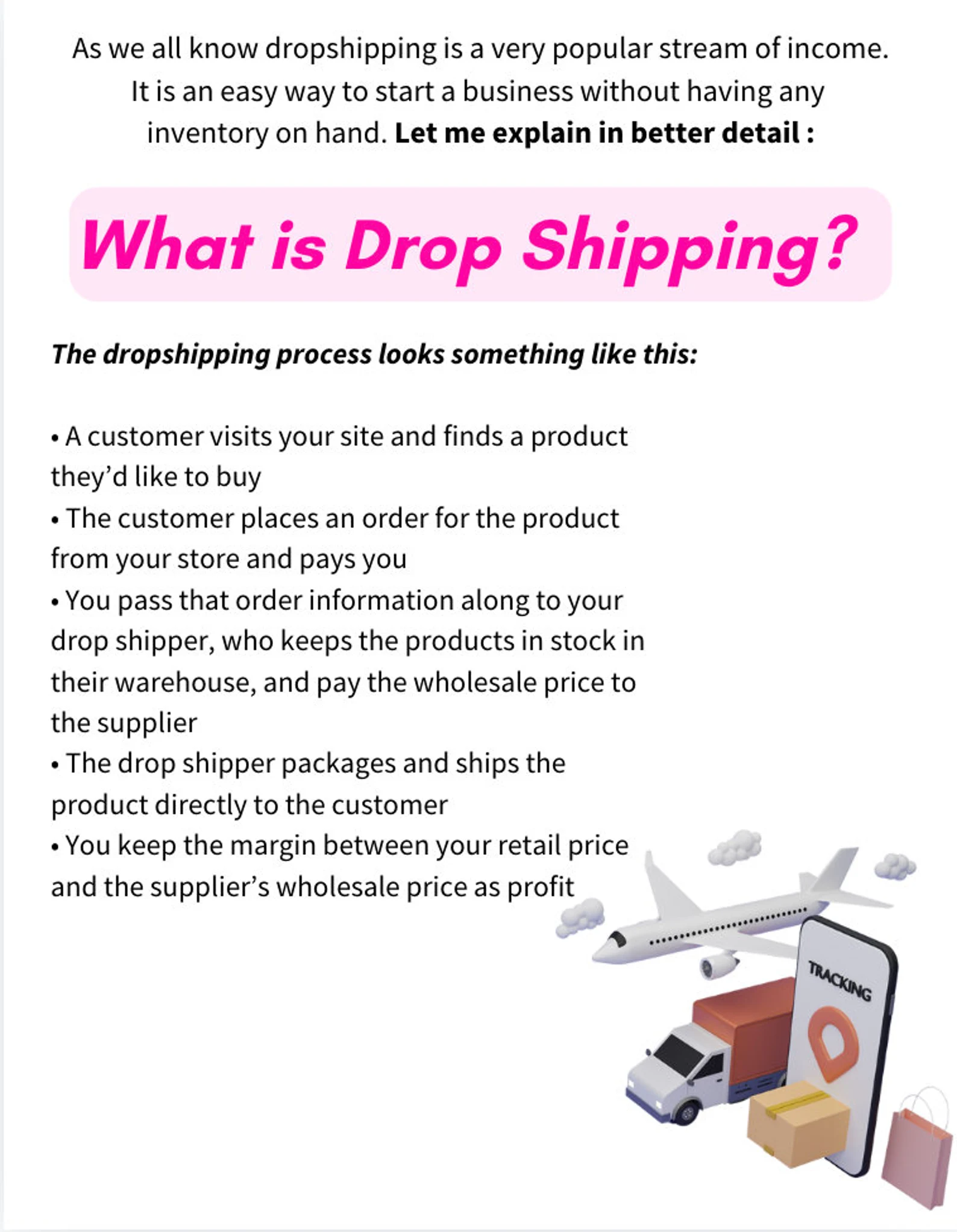 The Complete Guide to Starting a Dropshipping Business PLR Ebook - Image 2