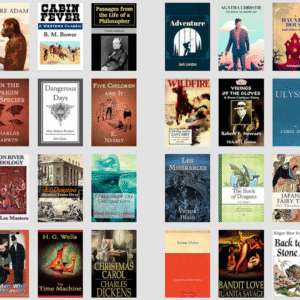 1000 Classic & Famous Novels Collection | Digital Format with PLR