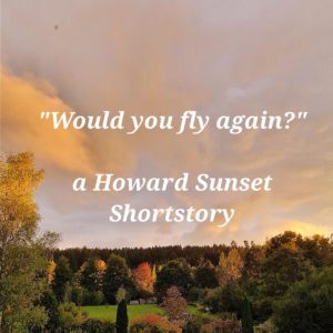 Would You Fly Again: An English Suspense Tale